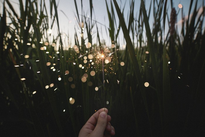 Hand holding a sparkler in tall grass at sunset