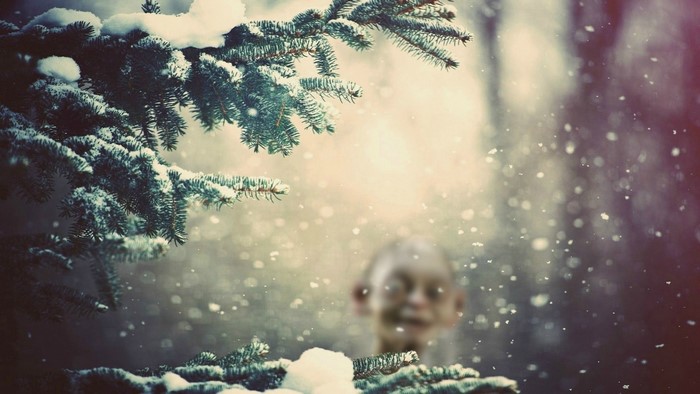 Smeagol from The Lord of the Rings in winter