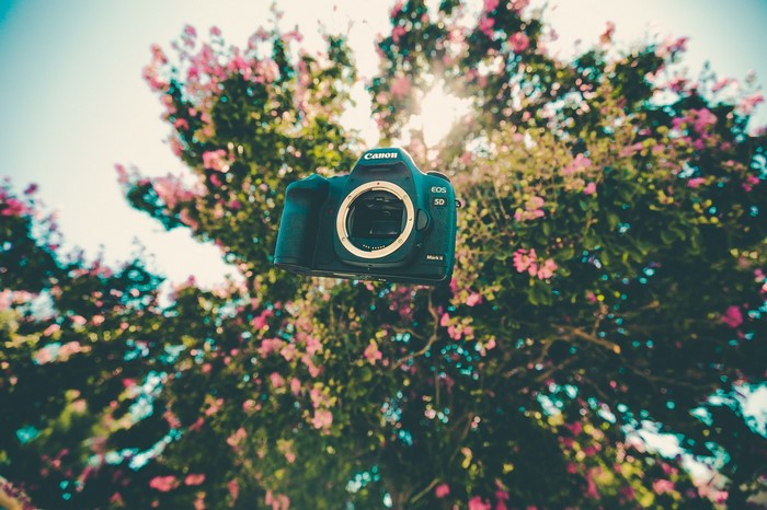 Canon EOS 5D Mark II camera floating near pink flowers