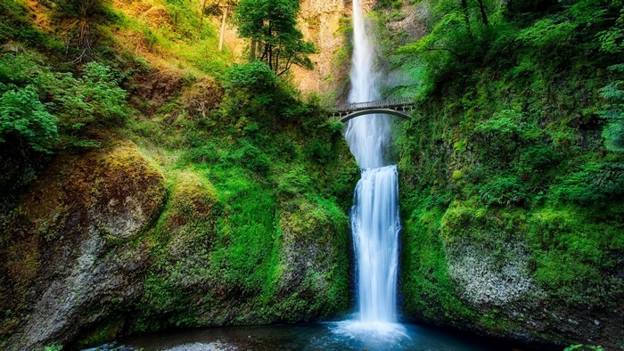 Multnomah Falls waterfall in a green forest with a bridge