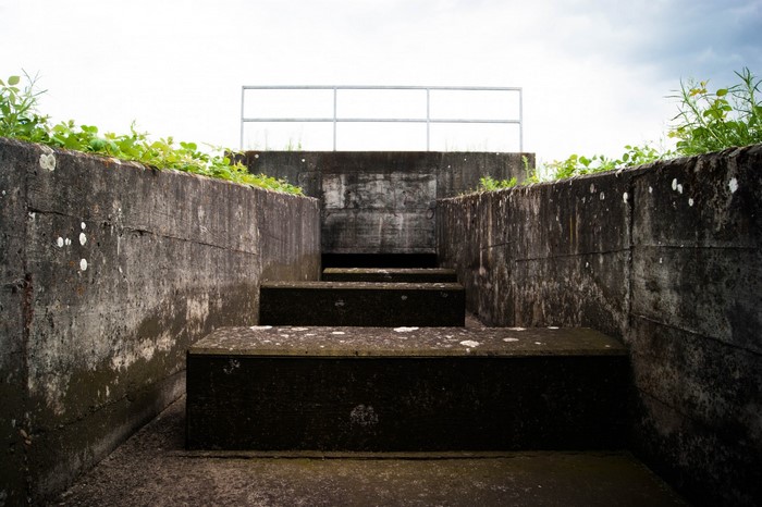 Concrete bunker stairs with metal railing and overgrown plants