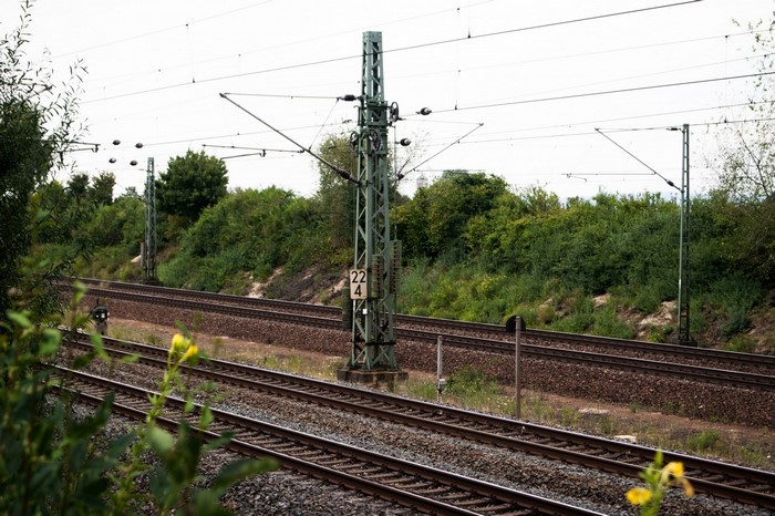 Railway tracks with overhead power lines and trees