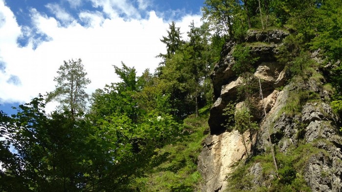 Forest and rocky cliff with blue sky and clouds