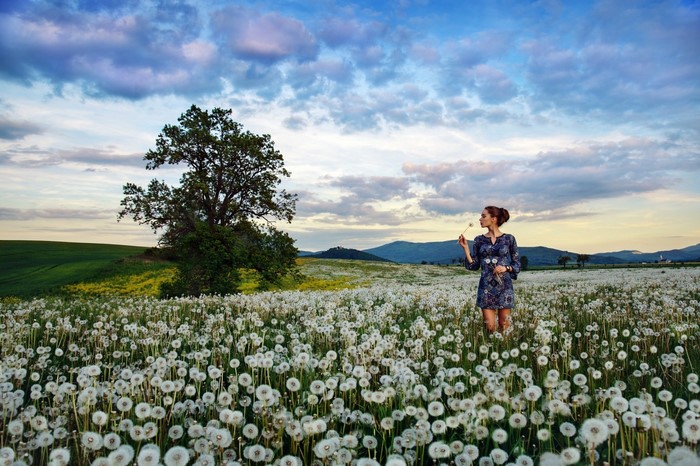 Woman in a field of dandelions with a tree