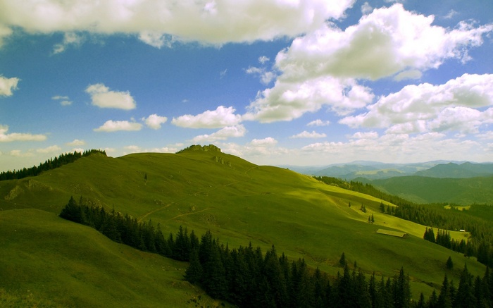 Green rolling hills with scattered trees under a cloudy blue sky