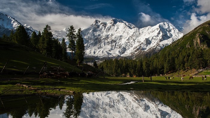 Snow-Capped Nanga Parbat and Reflective Lake in Pakistan