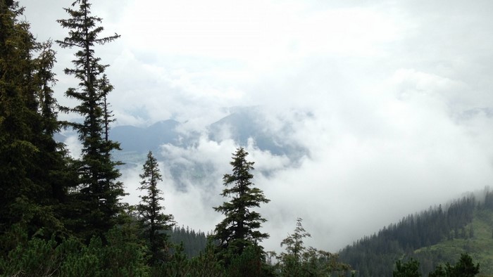 Misty mountains and coniferous forest in Austria