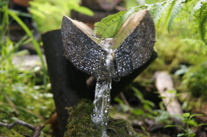 Water flowing from a log in a forest