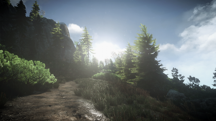 The Witcher 3 Wild Hunt landscape with sunlight and mist