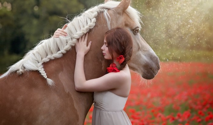 Woman embracing a horse in a field of poppies