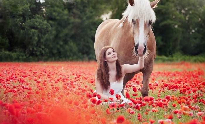 Woman in poppy field with horse