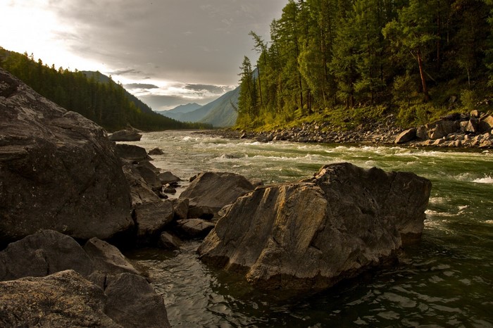 River flowing through a rocky valley with a forest