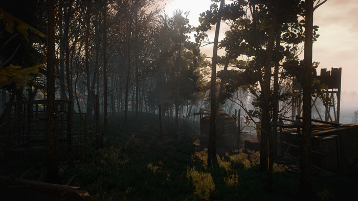 The Witcher 3: Wild Hunt forest at sunset