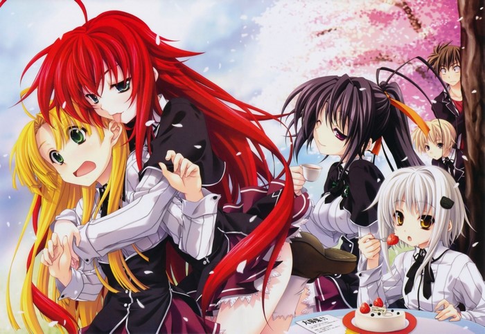 Rias Gremory and friends from High School DxD