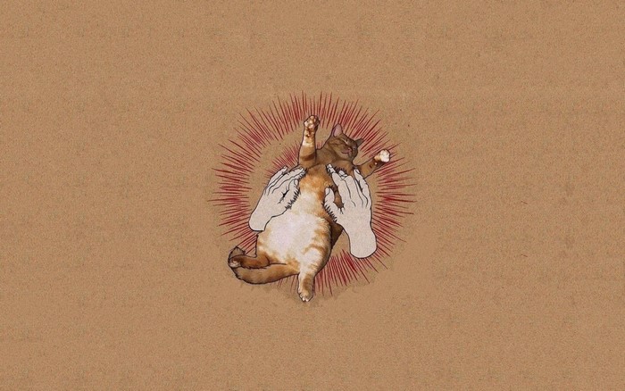Cat being held by hands with red sunburst