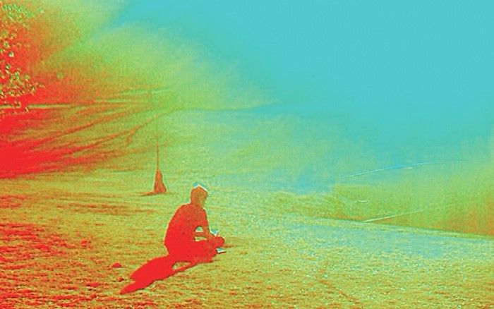 Person sitting by the water with a tree