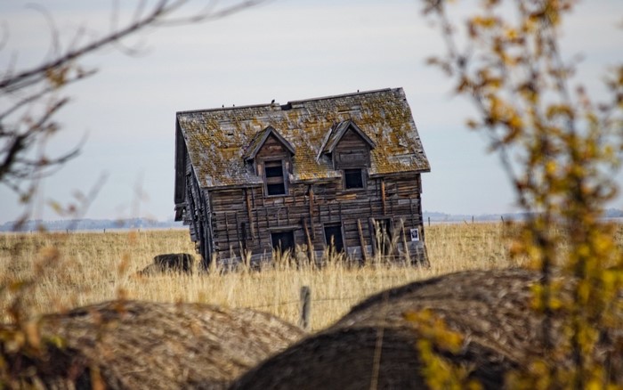Dilapidated wooden house in a dry field