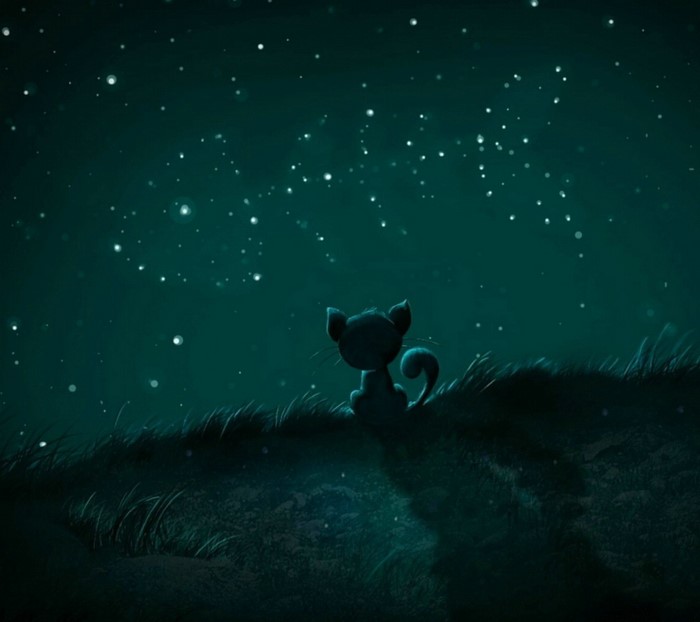 A silhouette of a cat looking at the starry night sky