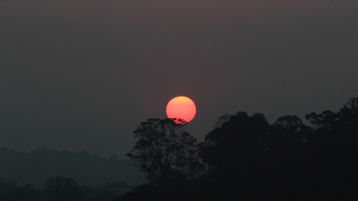 Sun setting behind silhouetted trees