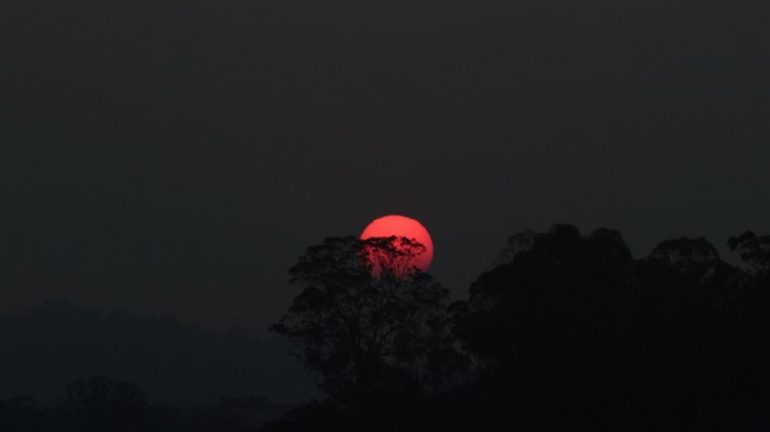 Red sun setting behind silhouetted trees