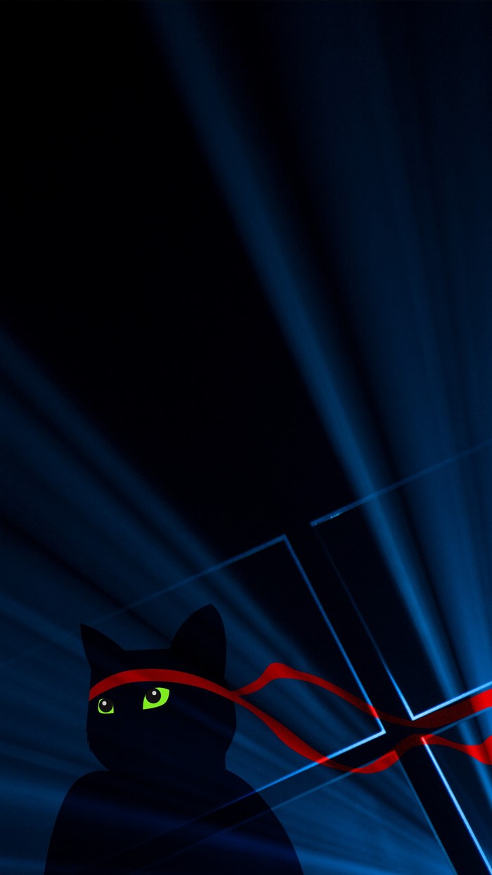 Ninja Cat with red headband on blue background