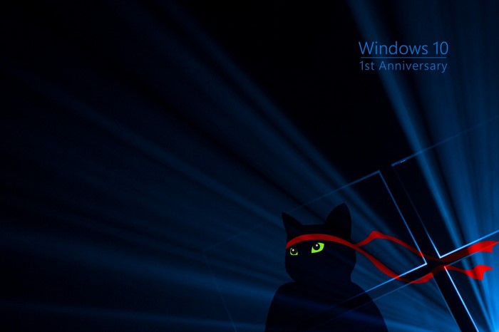 Black cat with red bandana and Windows 10 Anniversary logo