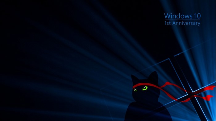 Black cat with red bandana and Windows 10 Anniversary logo