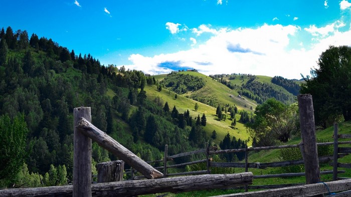 Wooden fence in front of green hills and forest under blue sky