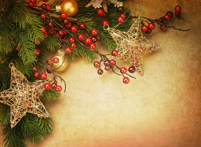 Christmas fir-tree decoration with berries and stars