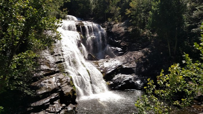 Waterfall cascading over rocks in a forest