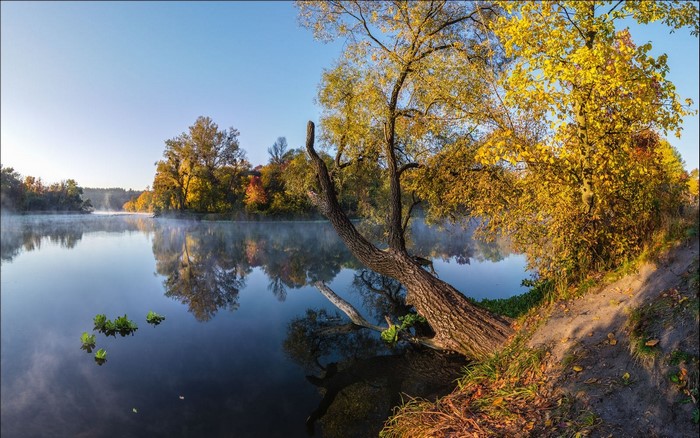 Misty autumn morning by the lake with trees