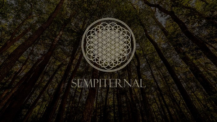 Sempiternal album art with forest background