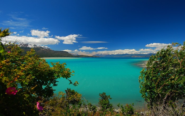 Turquoise lake with snow-capped mountains and trees