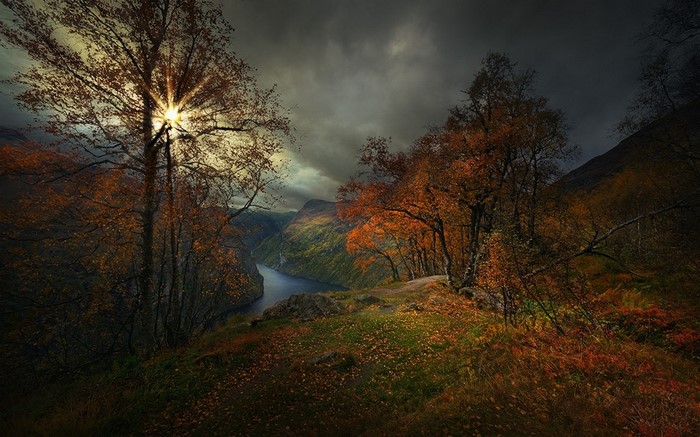 Sunlight Through Autumn Trees Over Geiranger Fjord