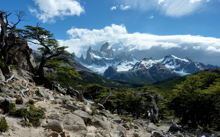 Fitz Roy mountain range with trees in foreground