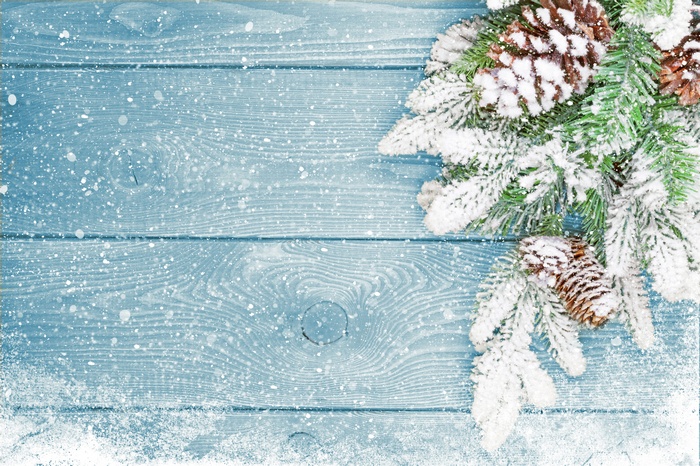 Christmas fir branches with pine cones on a snowy wooden background
