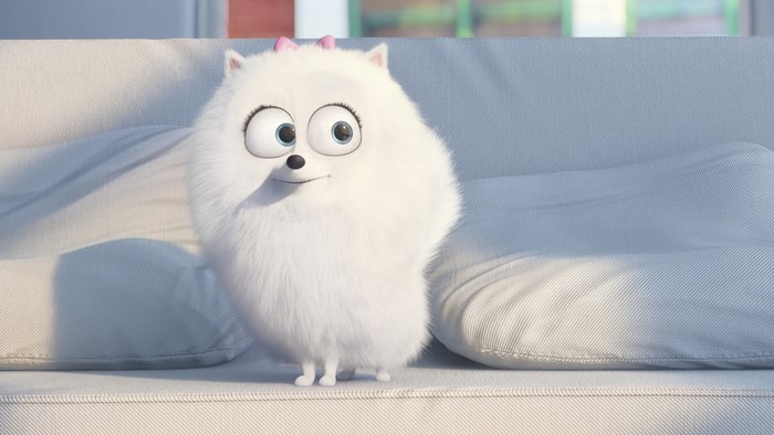 Gidget from The Secret Life of Pets