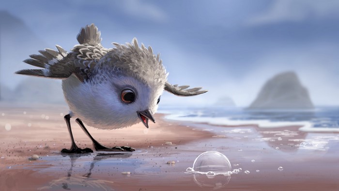 A small bird on a beach looking at a bubble