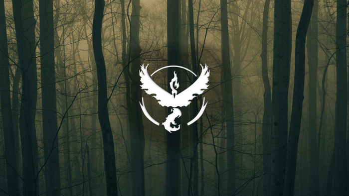 Team Valor logo in a dark forest