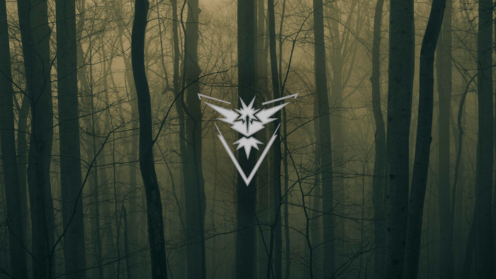 Team Instinct logo in a dark forest