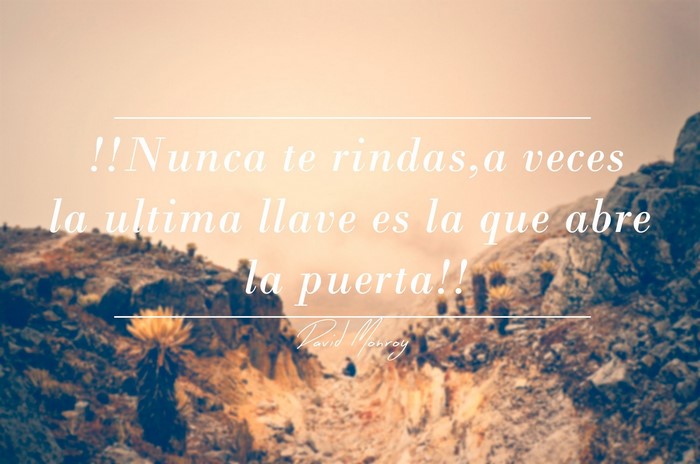Quote about never giving up by David Monroy