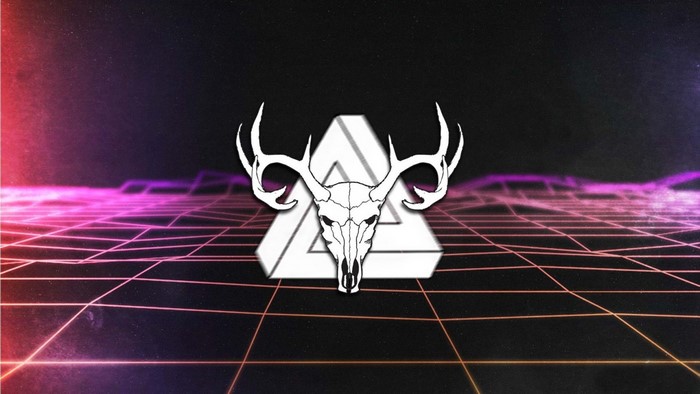 Deer skull with antlers and triangle
