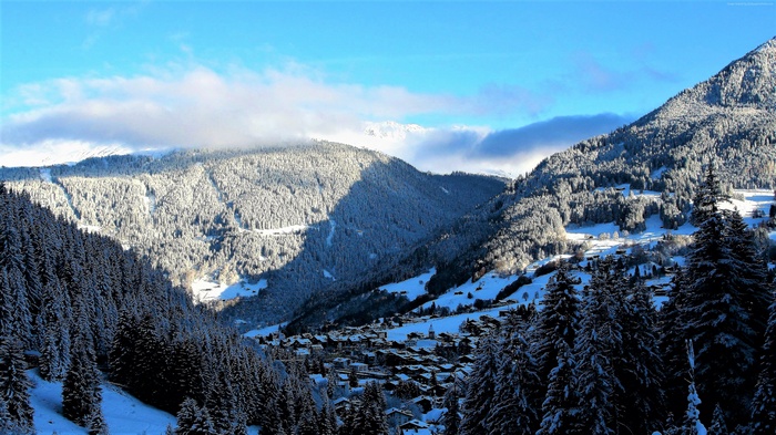 Snowy mountains and forest with village in winter