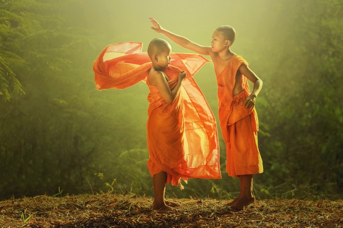 Two young monks in orange robes in a forest
