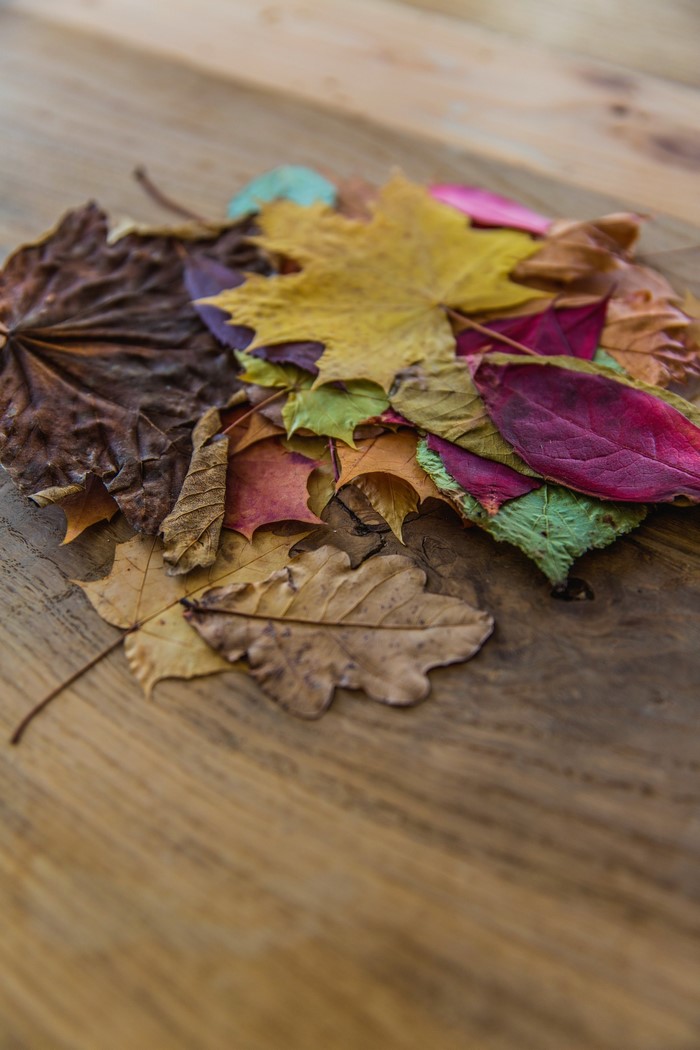 Pile of colorful autumn leaves on a wooden surface