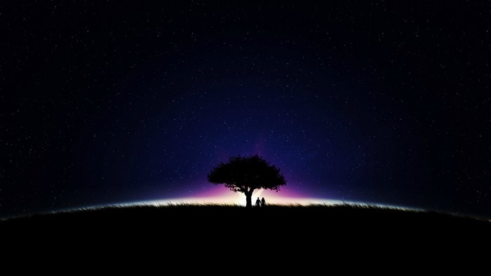 Couple under a tree at night with stars