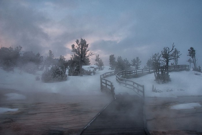 Wooden boardwalk through snowy landscape with mist