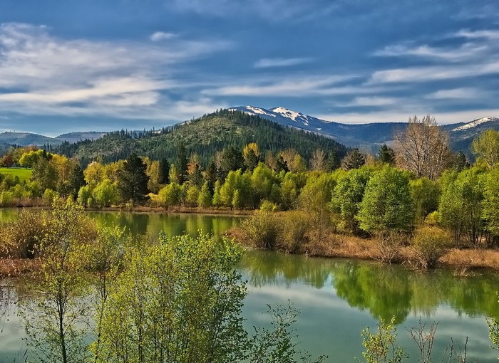 Lake and snow-capped mountains with trees in spring