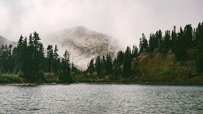 Misty mountain lake with evergreen forest