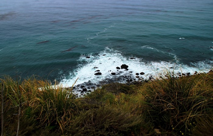 Waves crashing on rocks near a grassy cliff overlooking the ocean